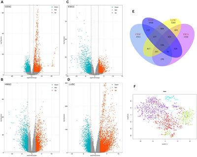 Machine Learning Models to Predict Primary Sites of Metastatic Cervical Carcinoma From Unknown Primary